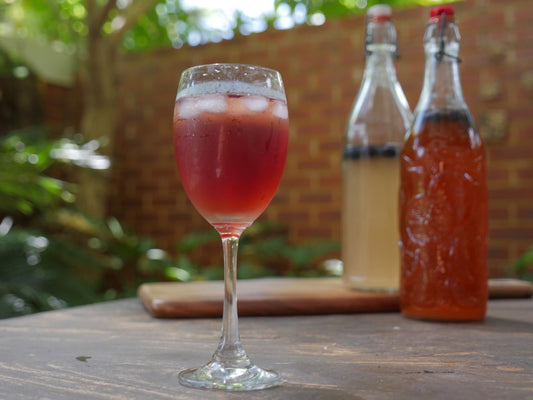 How To Make Kombucha