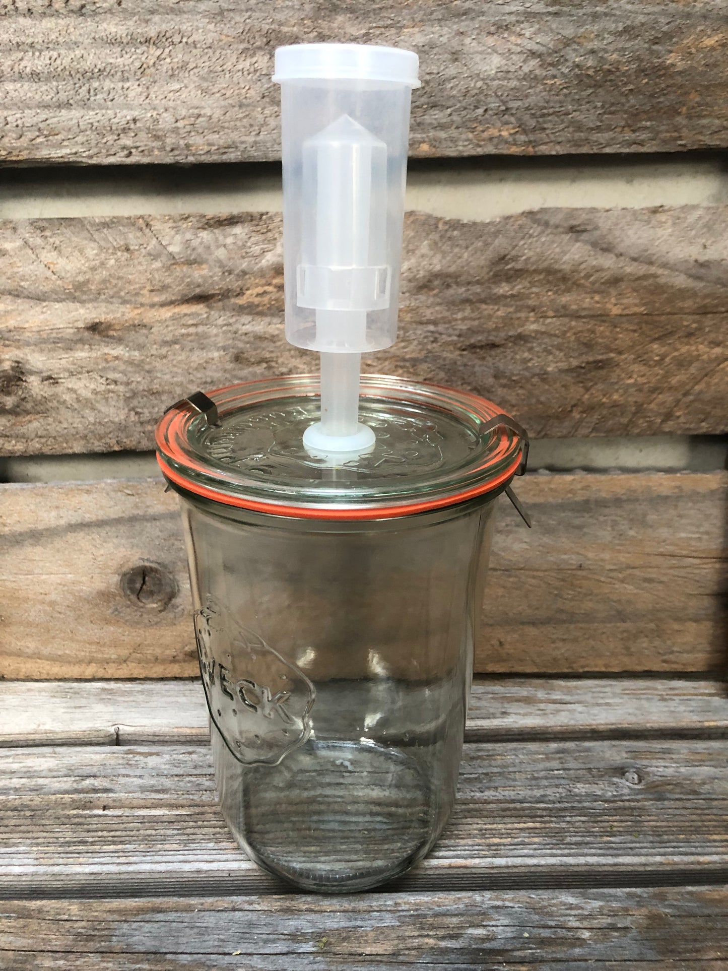 Weck Fermenting Jar