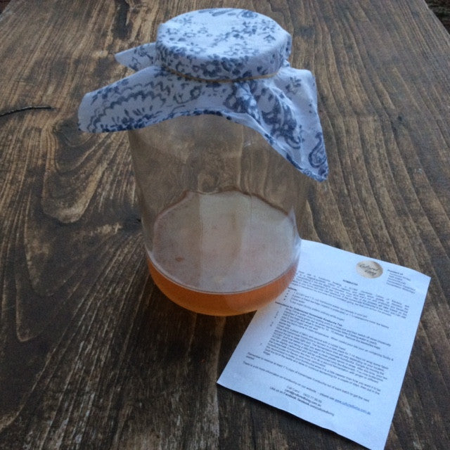 5 L Kombucha Kit (Tibetan Scoby) & Written Instructions