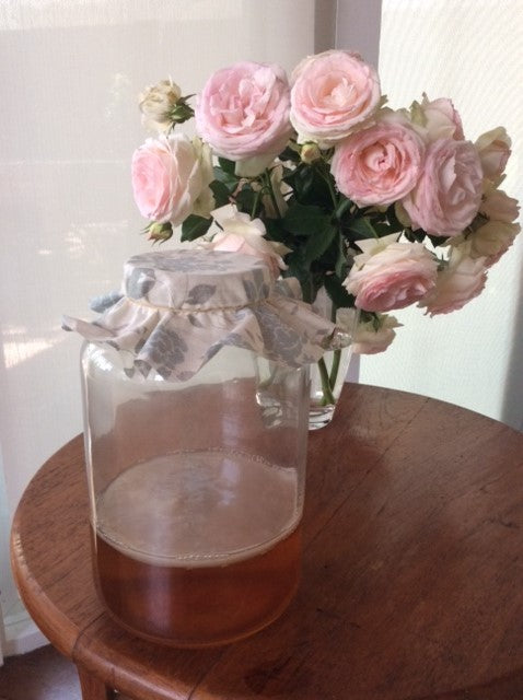 5 L Kombucha Kit (Tibetan Scoby) & Written Instructions