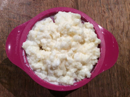 Milk Kefir Grains