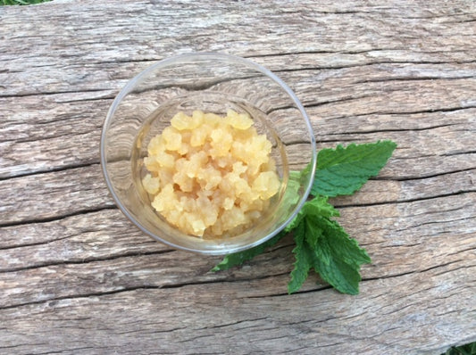 Water Kefir Grains