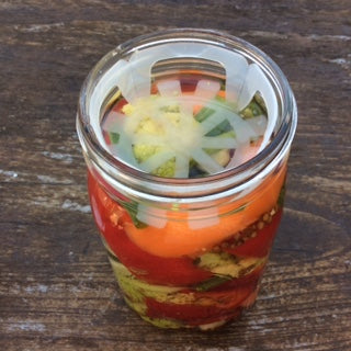 Viscodisc Canning/Fermenting Buddies
